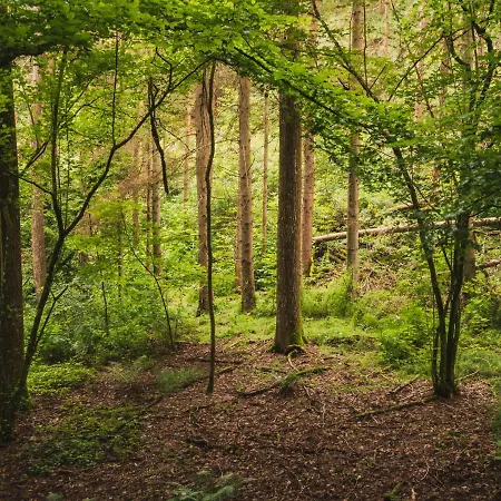 Vakantiepark Walsdorf Parque de vacaciones *