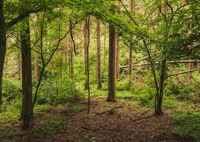 Vakantiepark Walsdorf Feriepark *